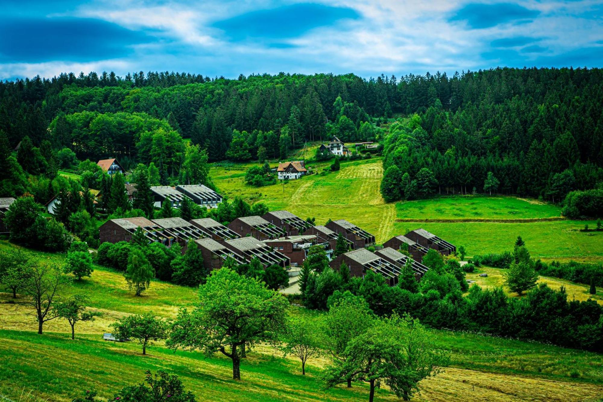 Natur Tanken Im Schwarzwald Sasbachwalden Kültér fotó